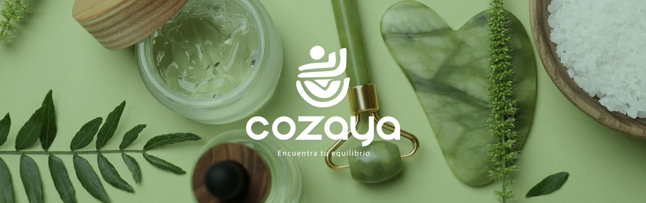 cozaya-wishhub